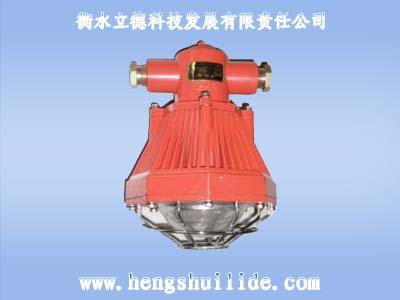 防爆灯批发,机车灯哪便宜,隔爆灯价格,巷道灯哪家好